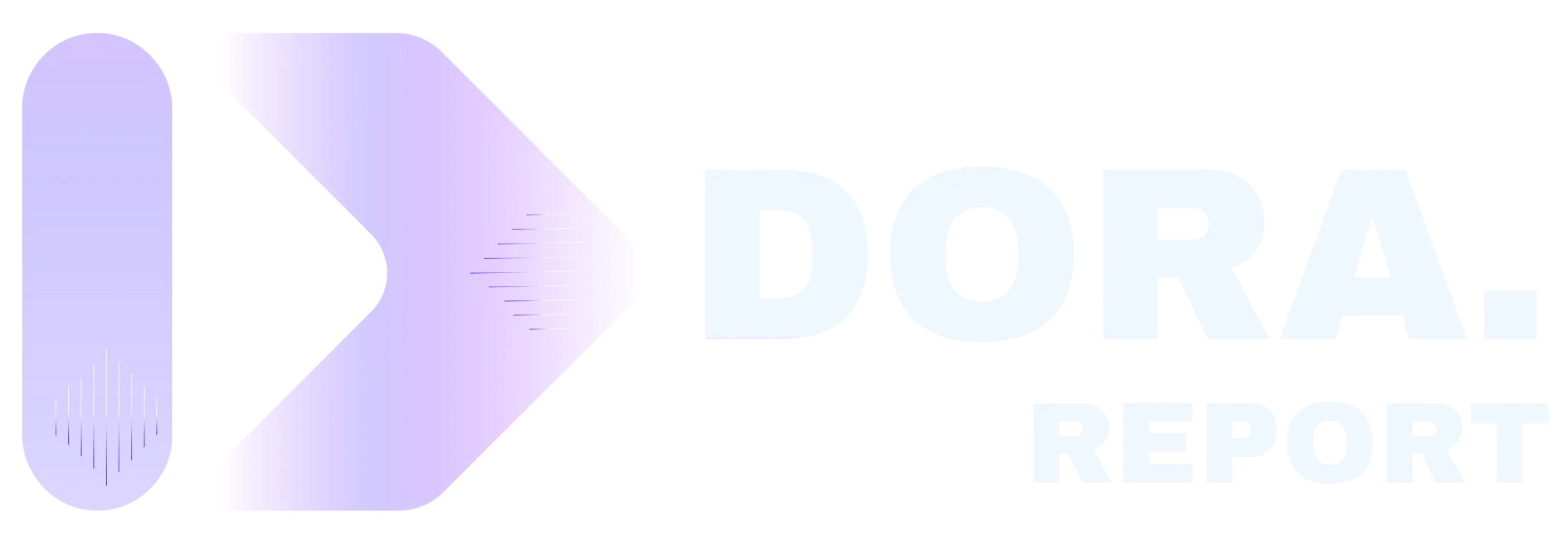 DORA.report reporting platform logo